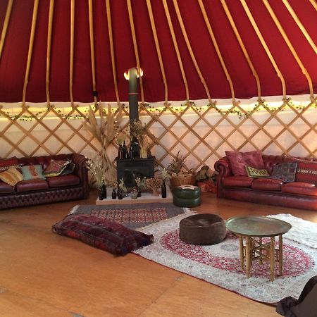 Silver Airstream Glamping & Rental ชิชิสเตอร์ ภายนอก รูปภาพ