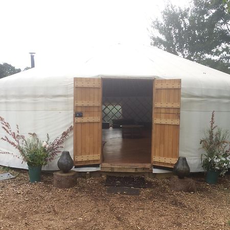 Silver Airstream Glamping & Rental ชิชิสเตอร์ ภายนอก รูปภาพ